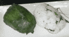 高菜でくるんだもの（左）と、高菜でくるまずに、刻んだ高菜を混ぜ込んで整形したもの（右）。