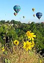 ヒマワリと熱気球