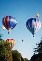 アン・モリソン公園から飛び立つ熱気球