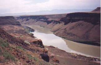 スネーク川猛禽類保護区