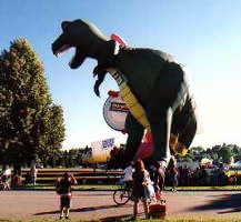 熱気球のデモンストレーション