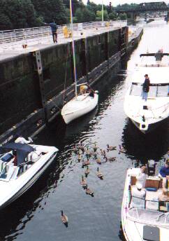 水門の通路に集まる船