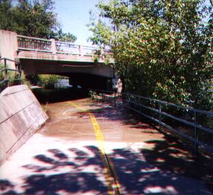 冠水した自転車道