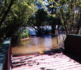 水没した中洲の自転車道