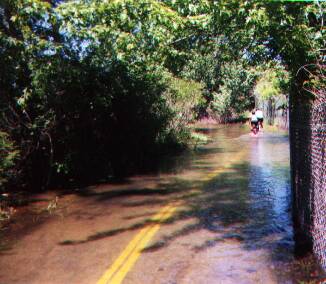 冠水した自転車道を行くサイクラー