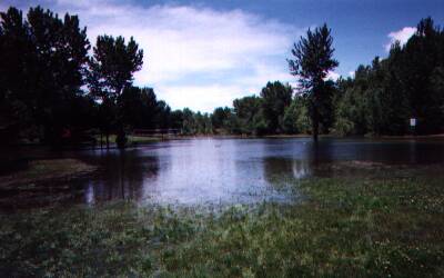 水浸しになったBarber Park