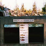 MKネイチャーセンター