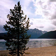 レッドフィッシュレーク