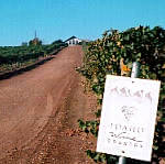 ソートゥースワイナリー