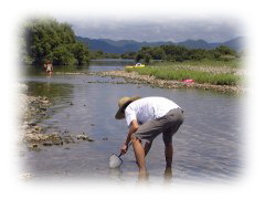 ある夏の日魚取りに夢中になる管理人