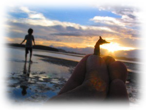 タツノオトシゴのシルエット