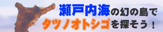 瀬戸内海の幻の島でタツノオトシゴを探そう！