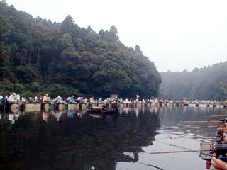 木々に囲まれて好ロケーション