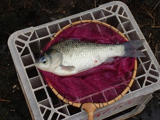 貴重な貴重な１枚