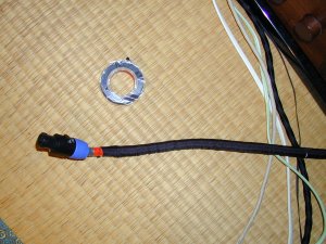 ホワイトラブ２