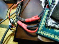 ワイヤーワールド