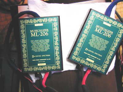 ムジラカイザー