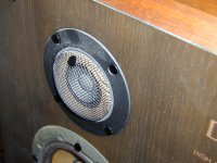 レゾナンスチップクライオ1