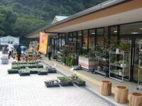 外にはお花もいっぱい売ってます。