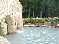 和歌山唯一、乳白色の湯。なめらかです。