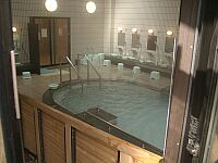 内湯を露天入り口側（浴室入り口とは反対側）から撮影。