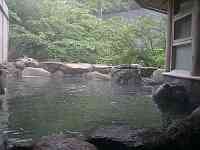 眼前に広がる緑、鳥のさえずりも聞こえます