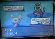 波動なのか波導なのか